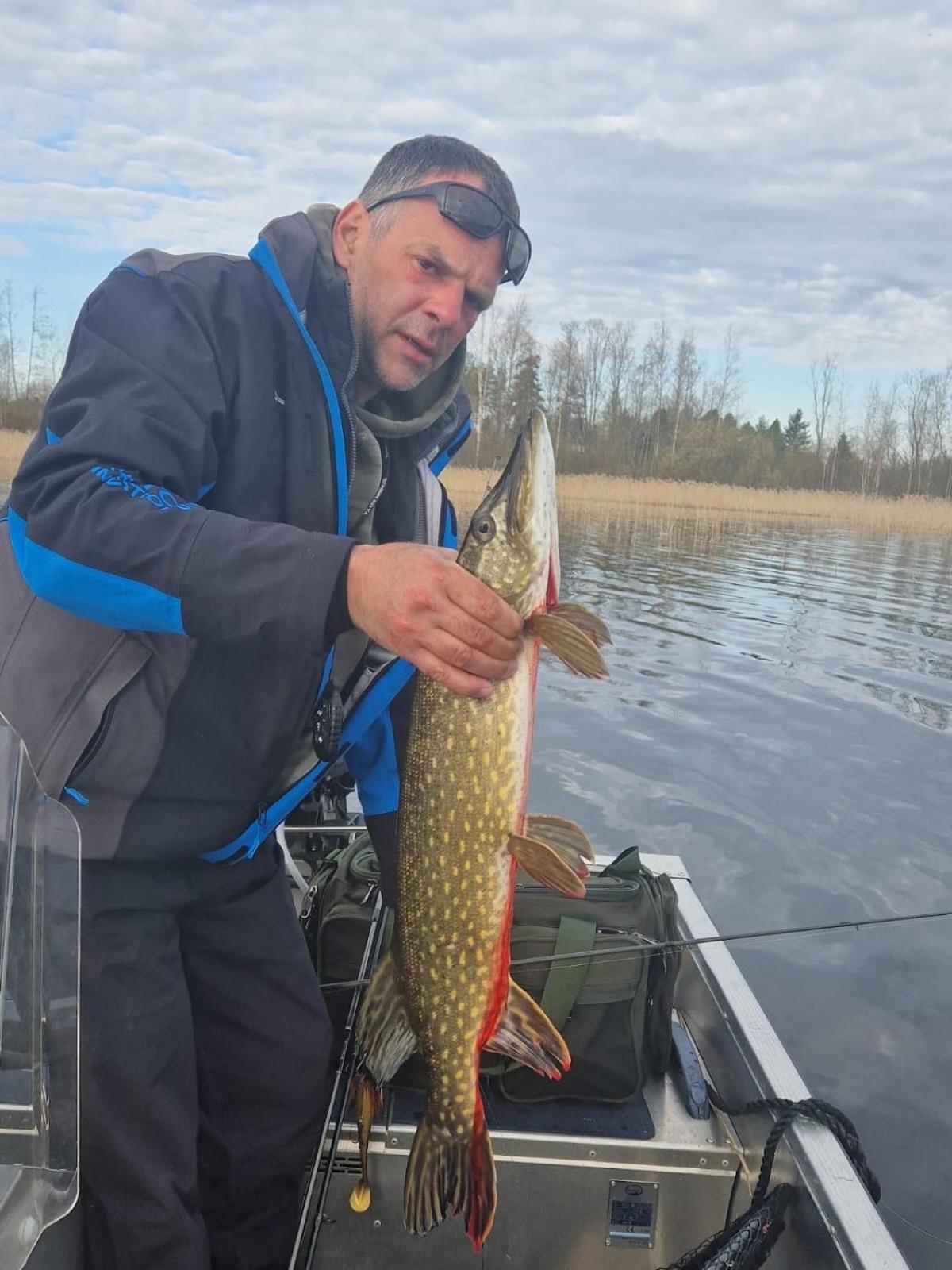 Ulkoporeamme Niemelä Melkoniemi Exterior foto