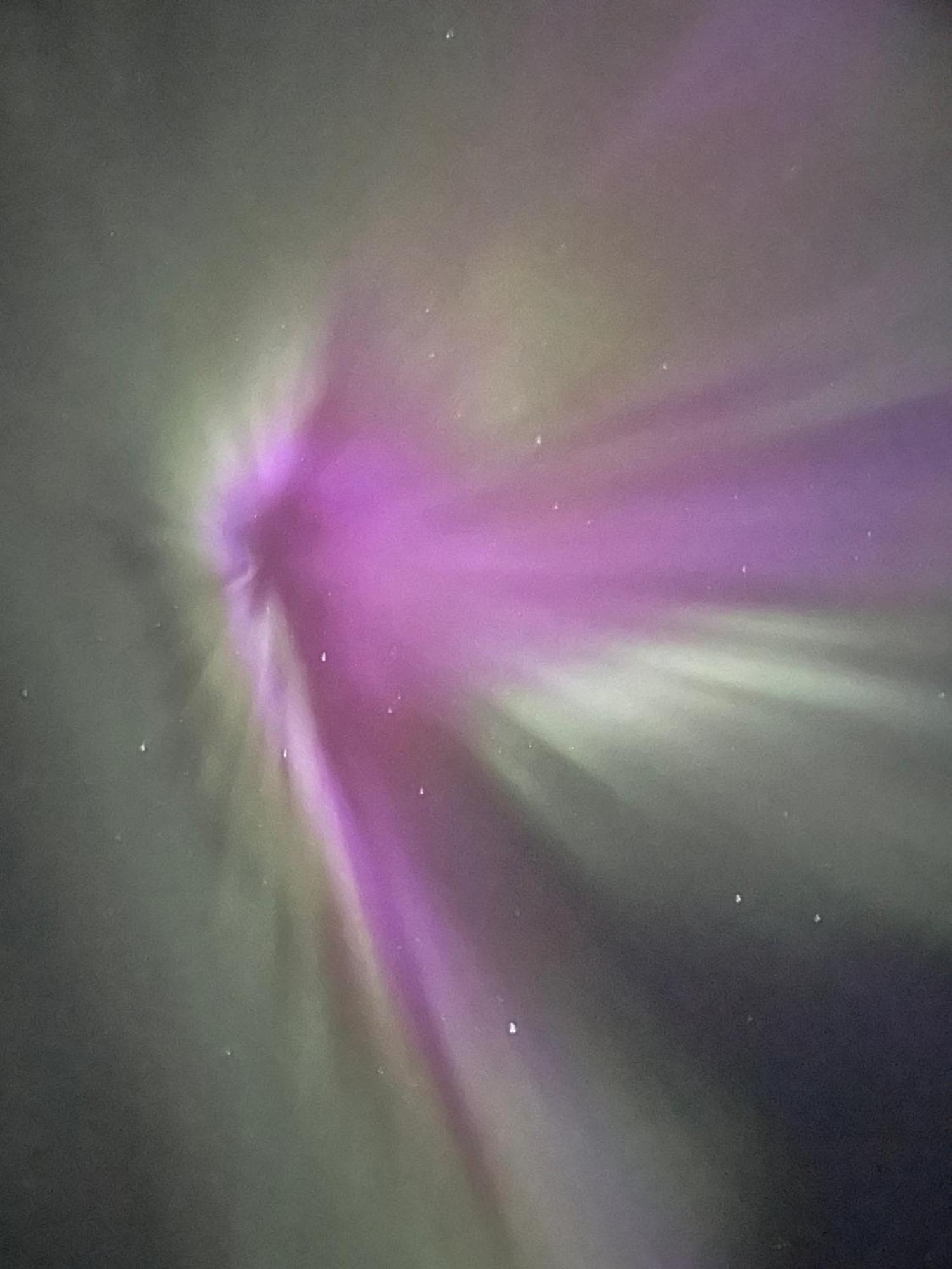 Ulkoporeamme Niemelä Melkoniemi Exterior foto